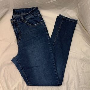 Women's Earl Jeans - Size 12 - Stretch Skinny, gently used condition